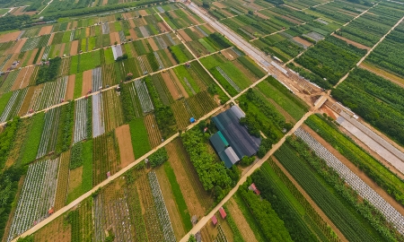 Chính phủ nghiên cứu đánh thuế đất hoang hóa, dự án chậm triển khai